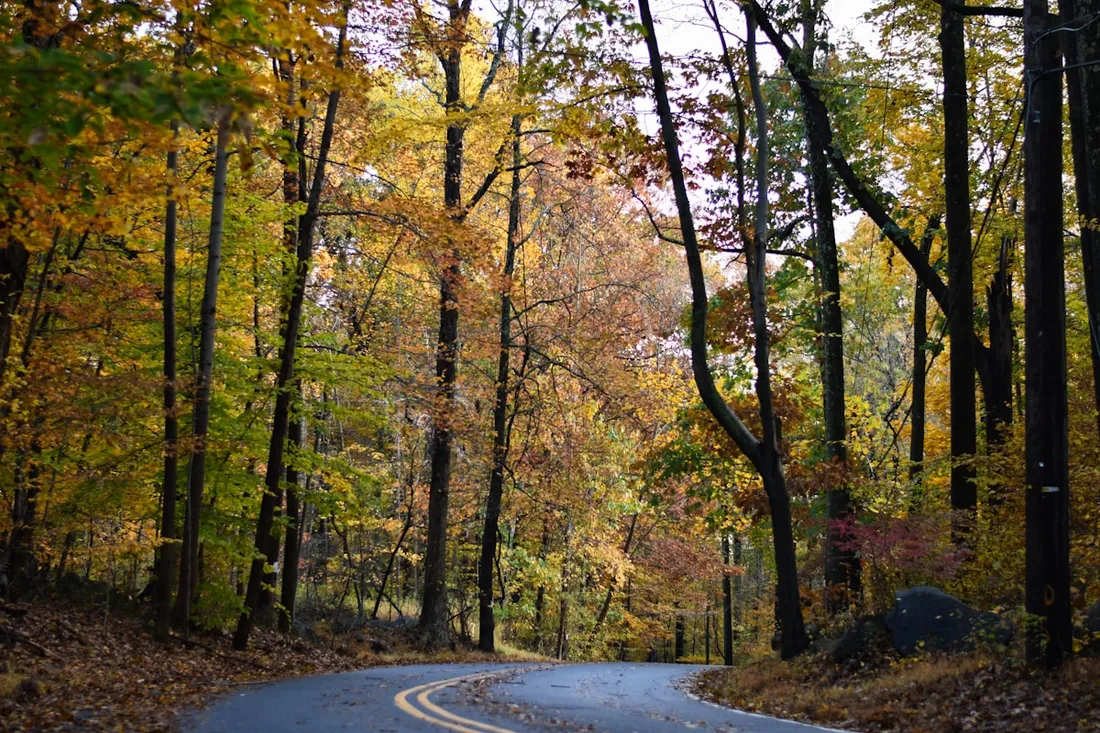 The Best Fall Foliage Road Trips in North America