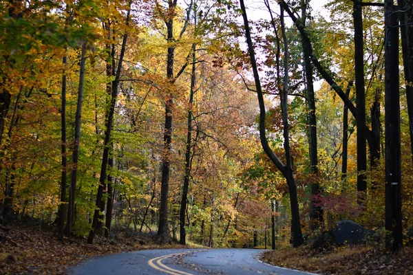 The Best Fall Foliage Road Trips in North America