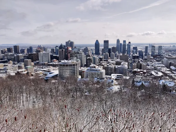 Montreal in Spring 2026: The Best-Value City Break in North America Nobody Is Talking About